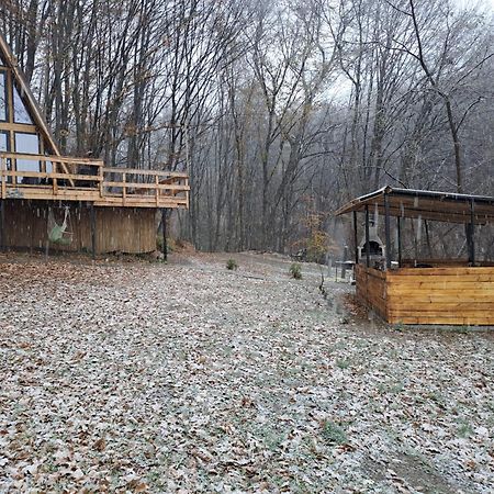 Cabanaaframe Intreaga Proprietate Куртя-де-Арджеш Экстерьер фото