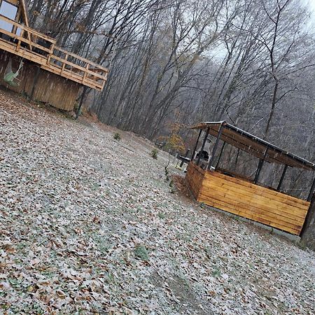 Cabanaaframe Intreaga Proprietate Куртя-де-Арджеш Экстерьер фото