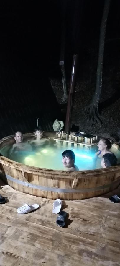 Cabanaaframe Intreaga Proprietate Куртя-де-Арджеш Экстерьер фото