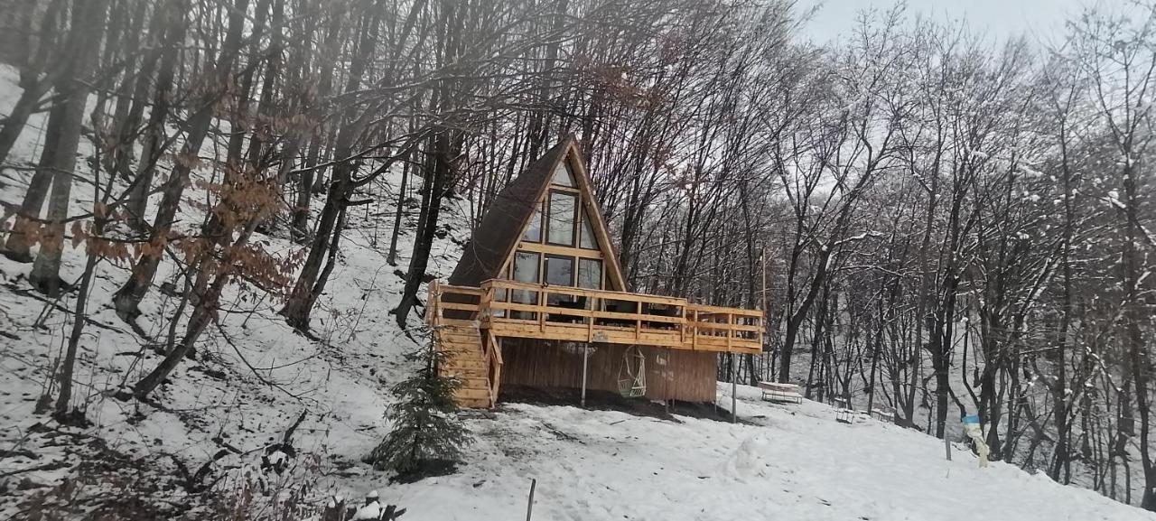 Cabanaaframe Intreaga Proprietate Куртя-де-Арджеш Экстерьер фото