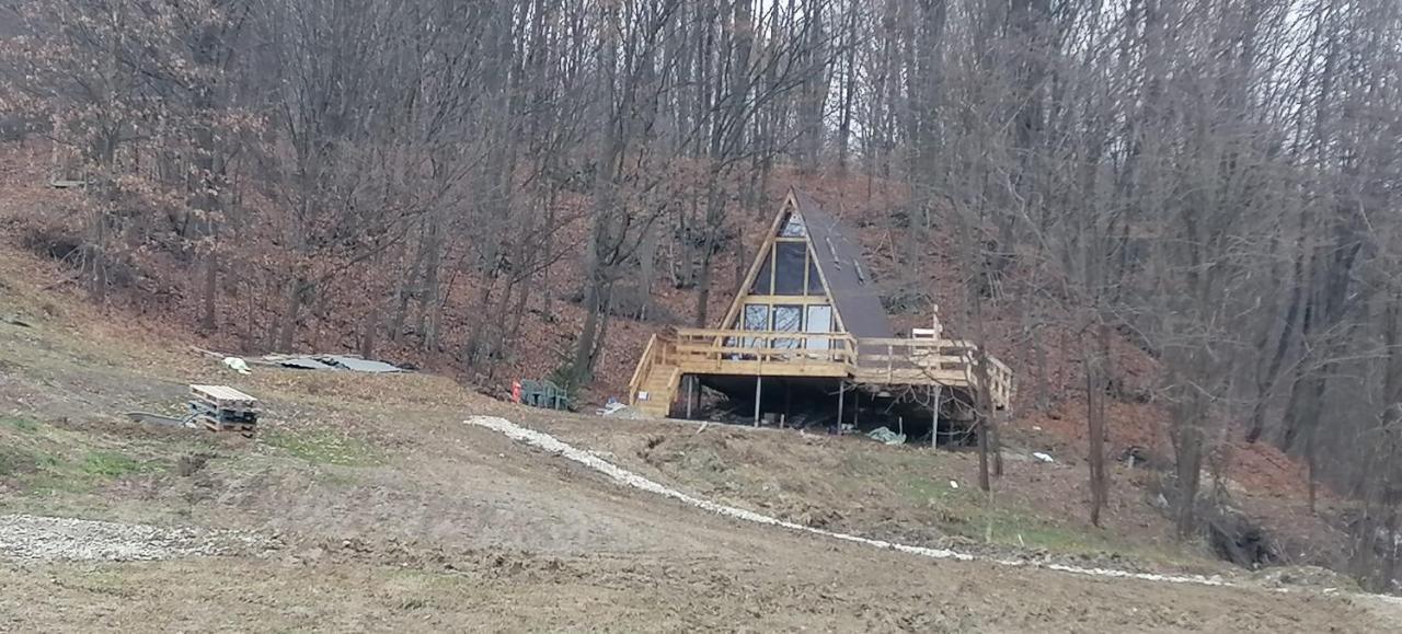 Cabanaaframe Intreaga Proprietate Куртя-де-Арджеш Экстерьер фото