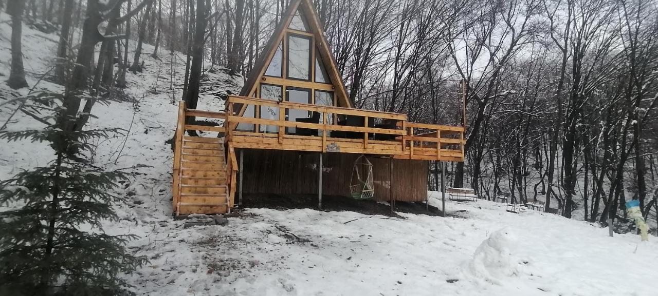 Cabanaaframe Intreaga Proprietate Куртя-де-Арджеш Экстерьер фото