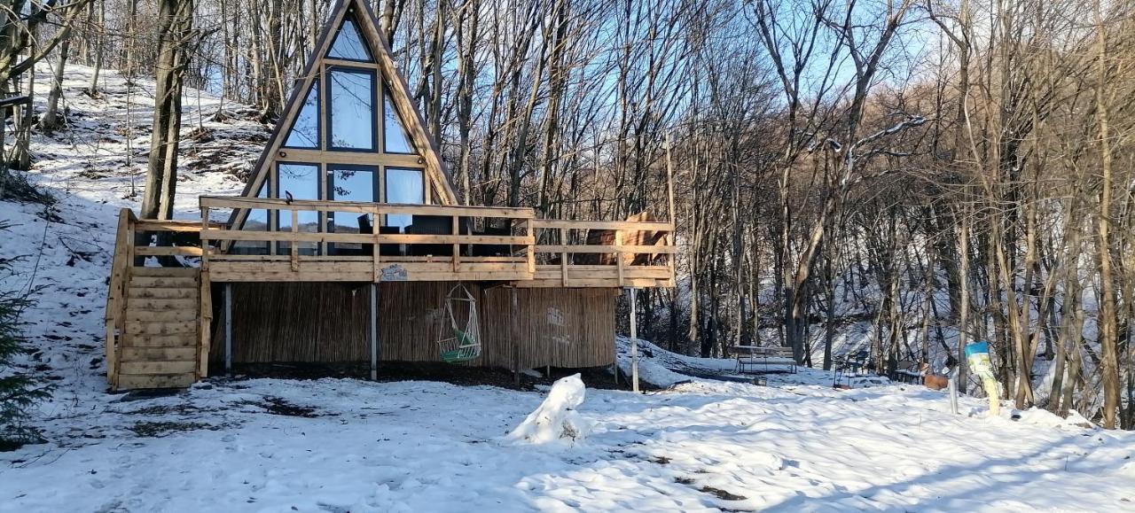 Cabanaaframe Intreaga Proprietate Куртя-де-Арджеш Экстерьер фото