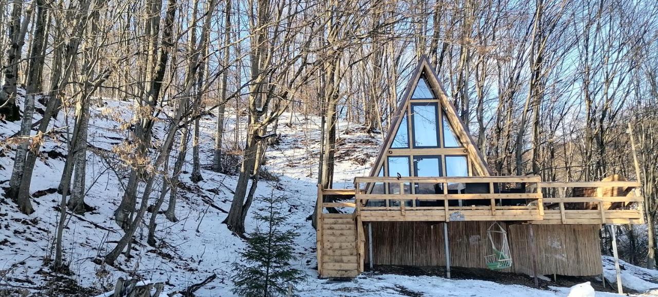 Cabanaaframe Intreaga Proprietate Куртя-де-Арджеш Экстерьер фото