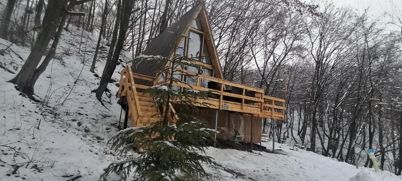 Cabanaaframe Intreaga Proprietate Куртя-де-Арджеш Экстерьер фото