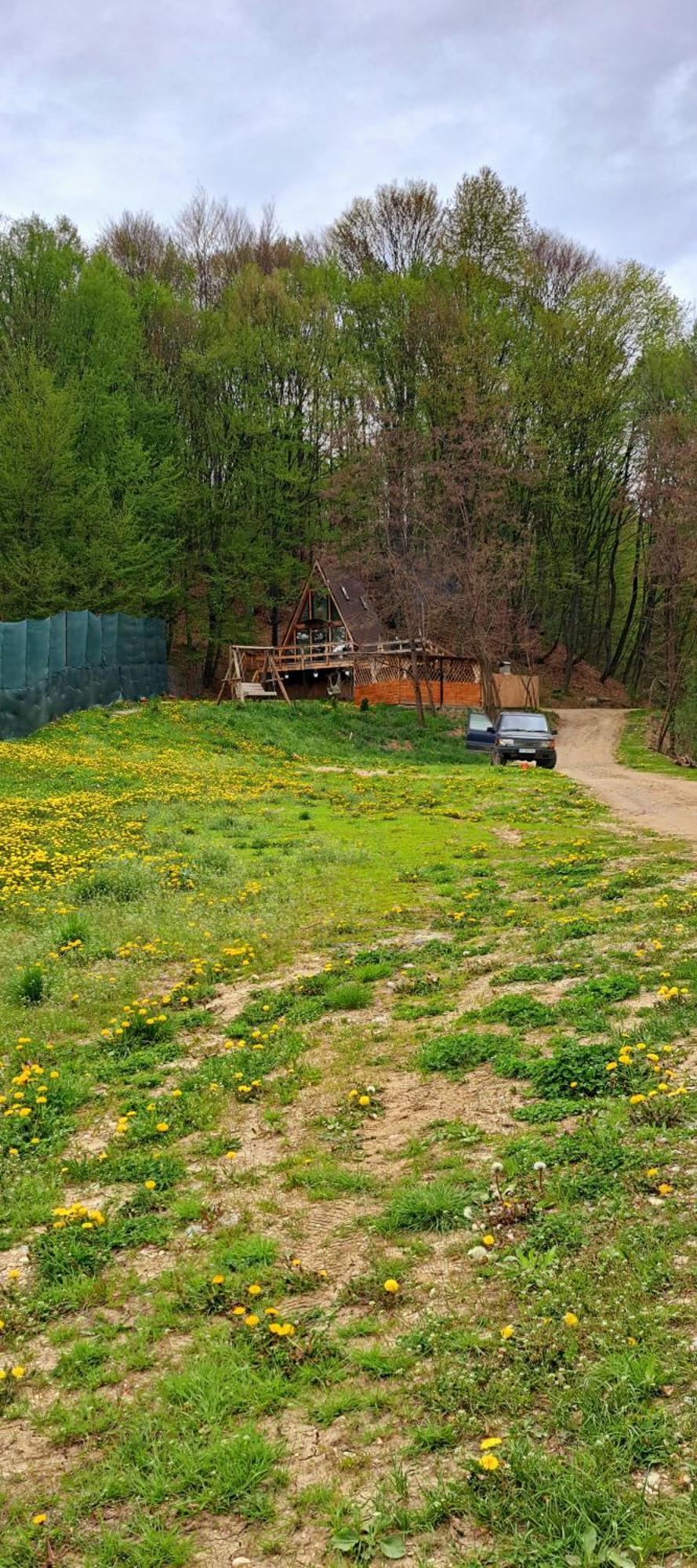 Cabanaaframe Intreaga Proprietate Куртя-де-Арджеш Экстерьер фото